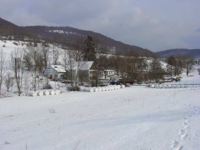 pic_0140.jpg