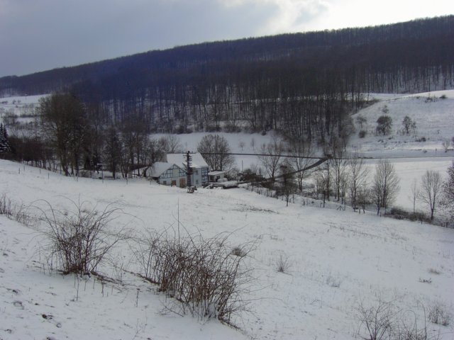 pic_0141.jpg