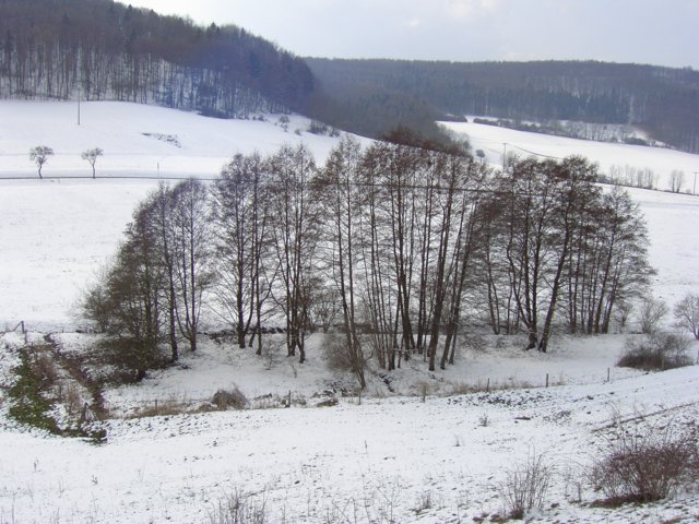 pic_0142.jpg