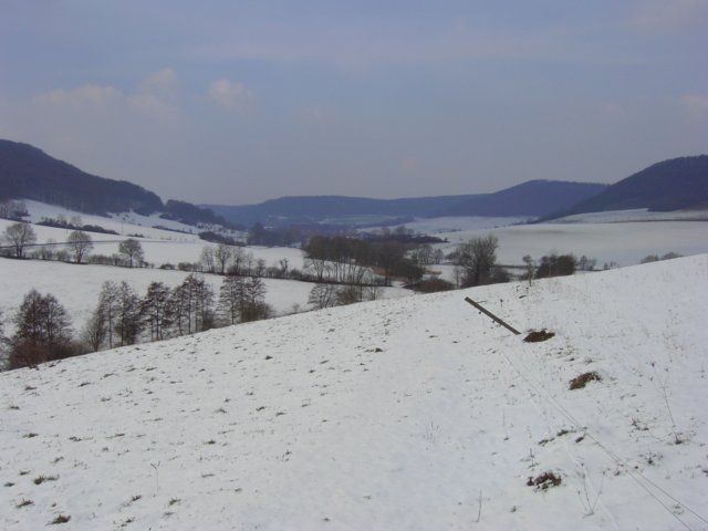 pic_0143.jpg
