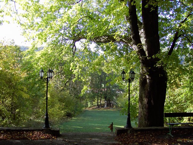 pic_0797.jpg
