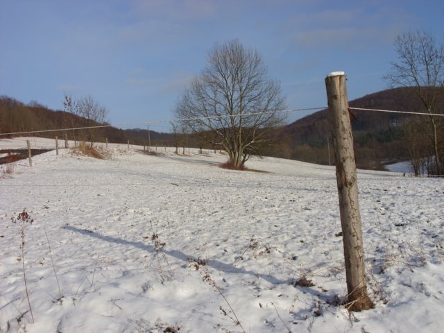 sn853711.jpg