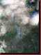 Verantwortlich f�r die Bilder: Thomas M�hr