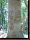 Verantwortlich f�r die Bilder: Thomas M�hr