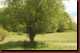 Verantwortlich f�r die Bilder: Thomas M�hr