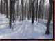 Verantwortlich f�r die Bilder: Thomas M�hr