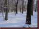 Verantwortlich f�r die Bilder: Thomas M�hr