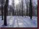 Verantwortlich f�r die Bilder: Thomas M�hr