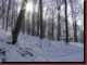 Verantwortlich f�r die Bilder: Thomas M�hr