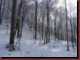 Verantwortlich f�r die Bilder: Thomas M�hr