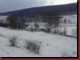 Verantwortlich f�r die Bilder: Thomas M�hr