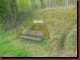 Verantwortlich f�r die Bilder: Thomas M�hr