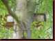 Verantwortlich f�r die Bilder: Thomas M�hr