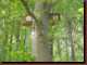 Verantwortlich f�r die Bilder: Thomas M�hr
