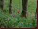 Verantwortlich f�r die Bilder: Thomas M�hr