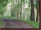Verantwortlich f�r die Bilder: Thomas M�hr