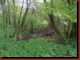 Verantwortlich f�r die Bilder: Thomas M�hr
