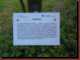 Verantwortlich f�r die Bilder: Thomas M�hr