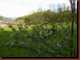 Verantwortlich f�r die Bilder: Thomas M�hr
