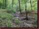 Verantwortlich f�r die Bilder: Thomas M�hr