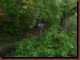 Verantwortlich f�r die Bilder: Thomas M�hr