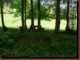 Verantwortlich f�r die Bilder: Thomas M�hr
