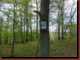 Verantwortlich f�r die Bilder: Thomas M�hr