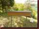 Verantwortlich f�r die Bilder: Thomas M�hr