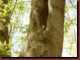 Verantwortlich f�r die Bilder: Thomas M�hr