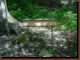 Verantwortlich f�r die Bilder: Thomas M�hr