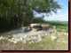 Verantwortlich f�r die Bilder: Thomas M�hr