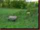 Verantwortlich f�r die Bilder: Thomas M�hr