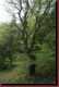 Verantwortlich f�r die Bilder: Thomas M�hr