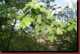 Verantwortlich f�r die Bilder: Thomas M�hr