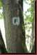 Verantwortlich f�r die Bilder: Thomas M�hr
