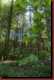 Verantwortlich f�r die Bilder: Thomas M�hr