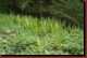 Verantwortlich f�r die Bilder: Thomas M�hr