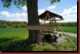 Verantwortlich f�r die Bilder: Thomas M�hr