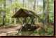 Verantwortlich f�r die Bilder: Thomas M�hr