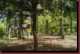 Verantwortlich f�r die Bilder: Thomas M�hr