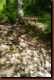 Verantwortlich f�r die Bilder: Thomas M�hr