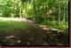 Verantwortlich f�r die Bilder: Thomas M�hr