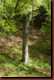 Verantwortlich f�r die Bilder: Thomas M�hr