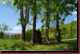 Verantwortlich f�r die Bilder: Thomas M�hr