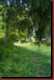Verantwortlich f�r die Bilder: Thomas M�hr