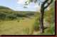 Verantwortlich f�r die Bilder: Thomas M�hr