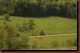 Verantwortlich f�r die Bilder: Thomas M�hr