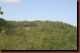 Verantwortlich f�r die Bilder: Thomas M�hr