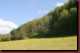 Verantwortlich f�r die Bilder: Thomas M�hr