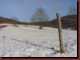 Verantwortlich f�r die Bilder: Thomas M�hr